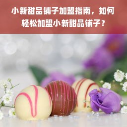 品牌家电招商加盟，共创共赢之路，携手共创未来