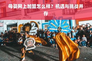 安家太太板材，揭秘其品牌定位与市场表现