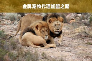 盘点全球知名高钢性数控机床品牌及案例解析