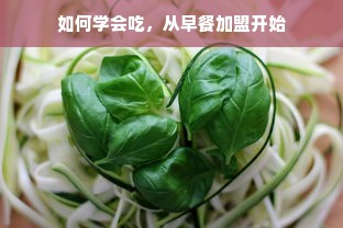 鹿优选额度兑现与提额攻略，如何轻松提升你的消费力？
