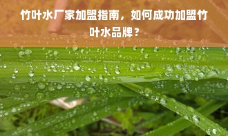 羊小咩便荔卡额度提现攻略，了解一般额度及提现流程