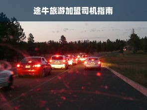 白条提现的实用指南