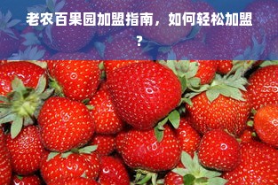 如何打造个人餐饮品牌？从零起步到行业翘楚的秘诀！