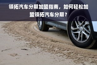 羊小咩便荔卡额度提现与提升策略详解，商家必备指南