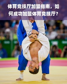 京东白条额度如何套出来？京东白条临时额度又该如何获取？