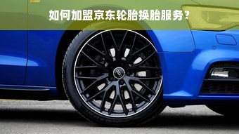 陕西丽字医药品牌，传统与现代交融的医药之光
