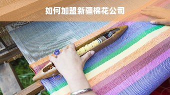 五一提现攻略！羊小咩便荔卡额度真相大揭秘（附真实案例+避坑指南）