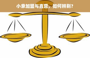 医药品牌故事插画手绘，传承与创新的艺术之旅
