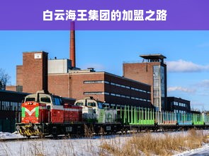 抖音月付额度提现商家注销全攻略，轻松解除绑定，恢复自由身！