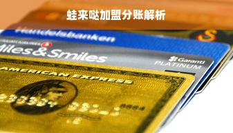 上海母婴品牌深度解析