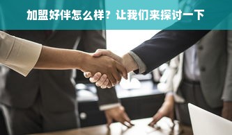 羊小咩便荔卡额度提现攻略，深度解析与实用指南（含支付宝合作细节及案例分析）