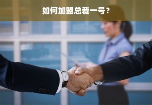 白条取现不可分期吗？
