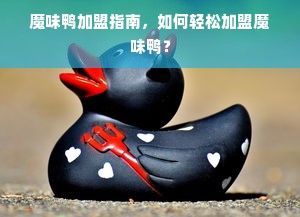 淘宝先用后付额度操作详解，商家攻略与分期应用