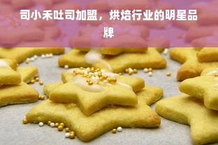 探索家居情趣内裤品牌，品质与舒适度的完美融合