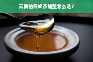国际母婴品牌，品质与选择的多元化之旅