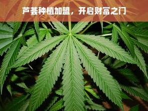 能点菜的餐饮品牌，个性化定制，满足你的味蕾