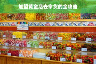 探寻高贵典雅童装品牌的魅力之旅