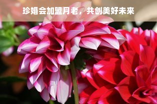 优幼母婴旗下品牌大盘点，多元化产品满足母婴需求