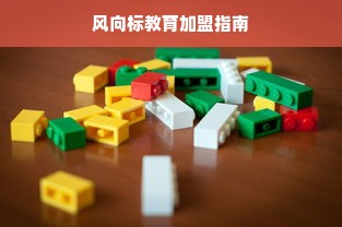 户外品牌图表制作