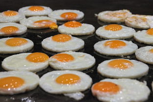 郑州本土餐饮品牌加盟，商机与策略解析