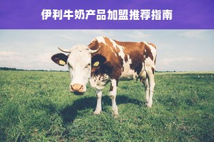 小众汉服品牌里的宝藏单品，只有几件但穿出高级感