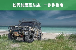 中国最贵医药品牌，背后的故事与未来展望