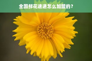 华熙生物化妆品品牌，引领行业新潮，塑造美丽新风尚