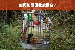 医药品牌授权使用流程表详解