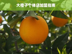 孕妇化妆品牌排行，安全、天然、有效，你选对了吗？