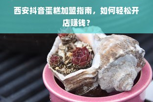 斯凯安医药品牌，探究其定位与影响力