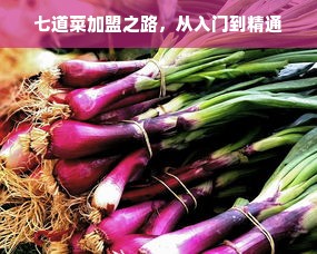 美的小家电制作精良品牌，精工细作，品质卓越