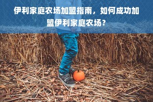 伊利家庭农场加盟指南，如何成功加盟伊利家庭农场？