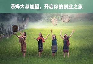 小熊小家电品牌深度解析，品质、口碑与市场的多维考察
