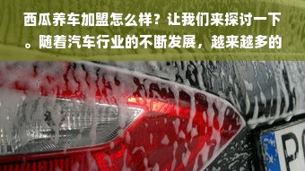 羊小咩便荔卡会员提现攻略，一步步操作指南与注意事项