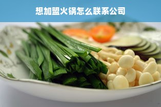 中国户外桌椅品牌精选