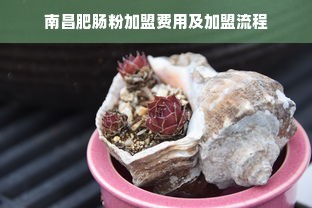 餐饮品牌标准化，打造卓越餐饮体验的关键路径