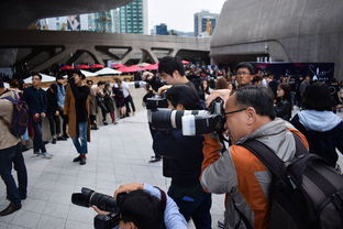 2023年高性价比冰箱推荐，实惠耐用品牌大比拼