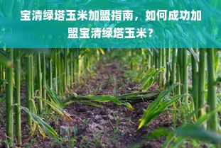 口袋打印机品牌推荐，便携打印，随时随地