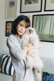 京东白条额度详解，如何提升额度与临时额度探讨