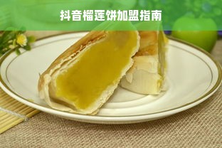 鹿优选额度兑现与自动提额度，征信查询全解析，你真的了解吗？
