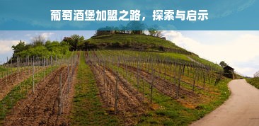 拼多多品牌电视冰箱，如何用百亿补贴买大牌家电不踩坑？