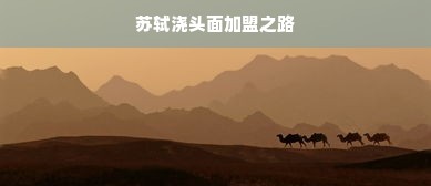 京东白条额度如何套现？双12京东白条额度攻略
