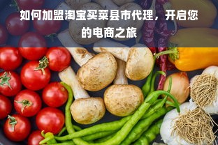 如何加盟淘宝买菜县市代理，开启您的电商之旅