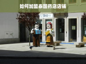 关于京东白条额度，如何提升与套出额度，以及如何查询额度详解