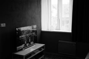 家电高端品牌，品质、创新与未来的选择