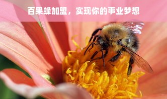 揭秘优质童装品牌货源，如何找到性价比高的童装供应商