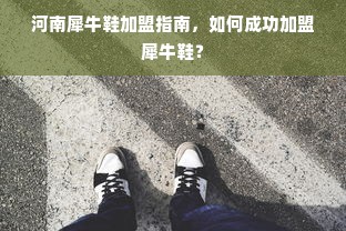 京东白条额度提升攻略，人脸识别技术与套现方法