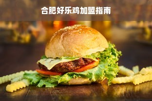 欧美小众家电品牌，独特魅力与实用价值的完美结合