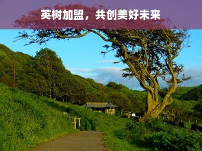 早教加盟贵州，这些品牌你了解吗？