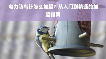 母婴用品品牌鞋，打造舒适与安全并重的儿童鞋履之选